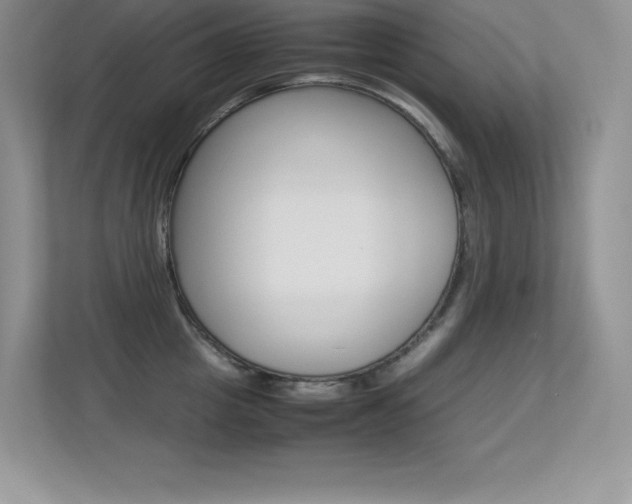 X0000113330857200909141006