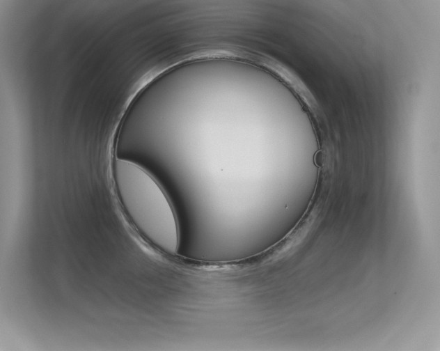 X0000113330858200909141006