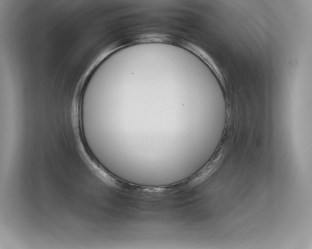X0000113330859200909141006