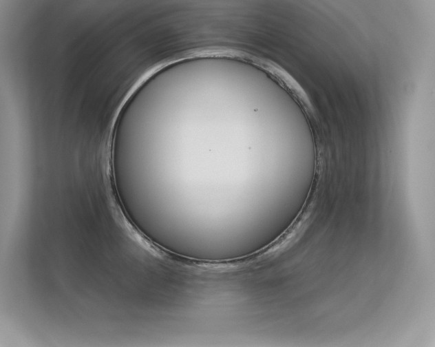 X0000113330860200909141006