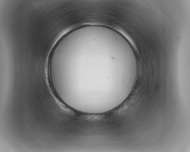 X0000113330861200909141006