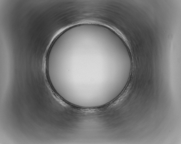 X0000113330862200909141006