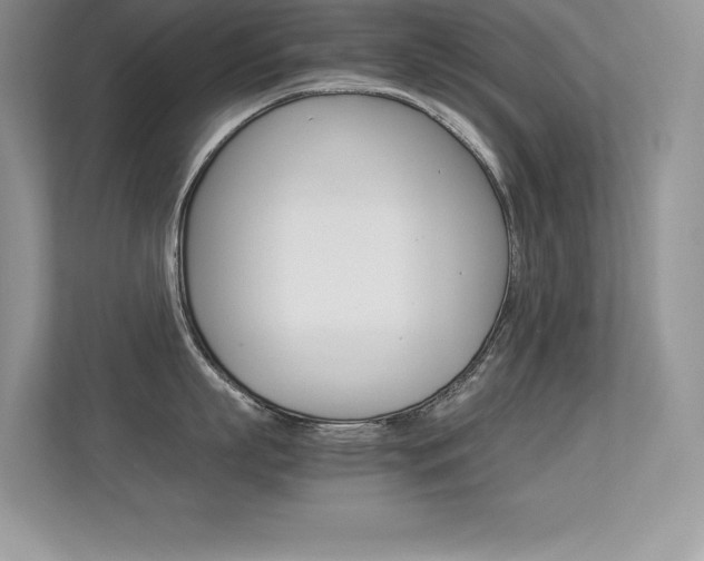 X0000113330863200909141006