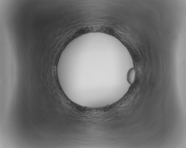 X0000113330865200909141005