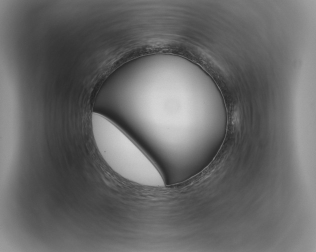 X0000113330868200909141005