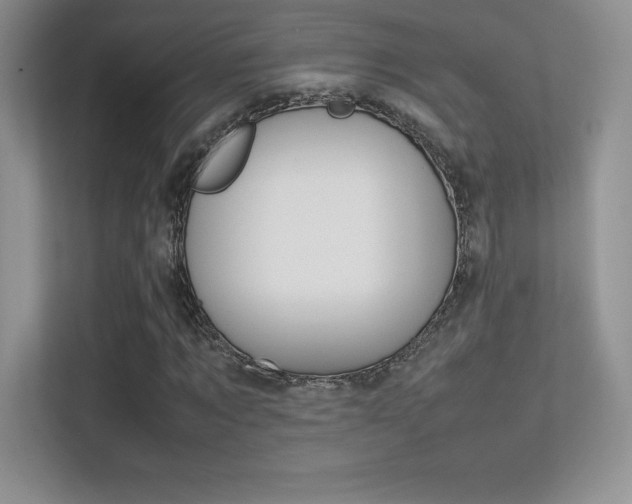 X0000113330869200909141005