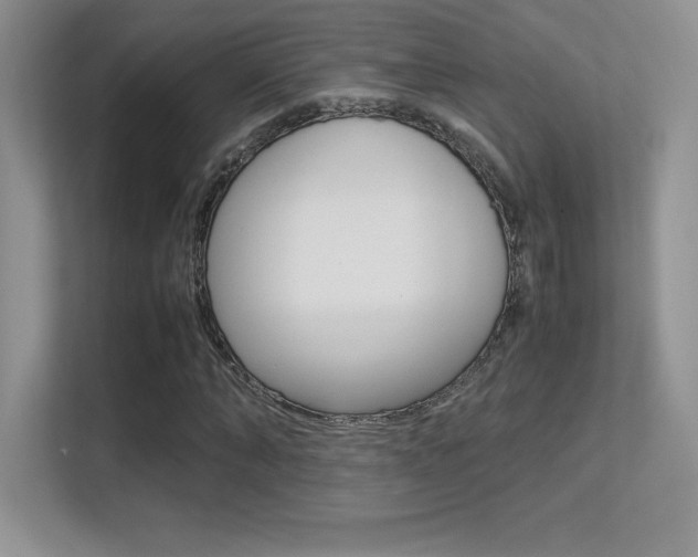 X0000113330870200909141005