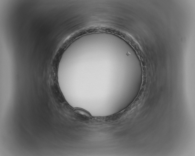 X0000113330871200909141005
