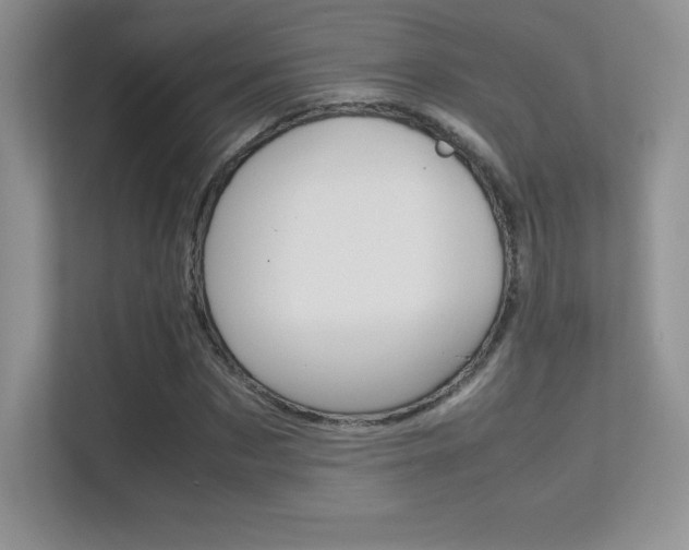 X0000113330873200909141005
