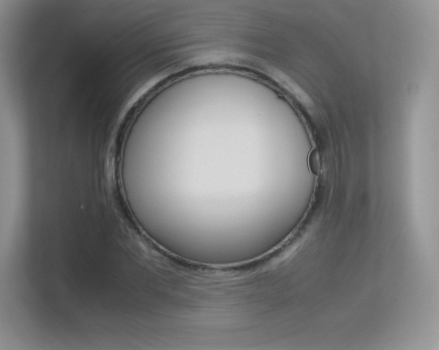 X0000113330877200909141005