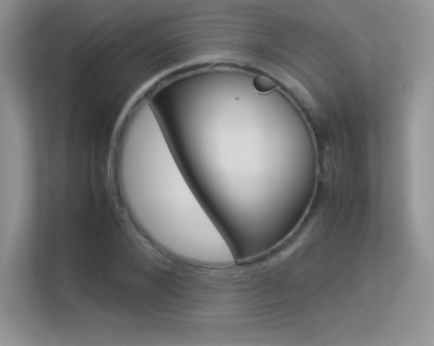 X0000113330880200909141005
