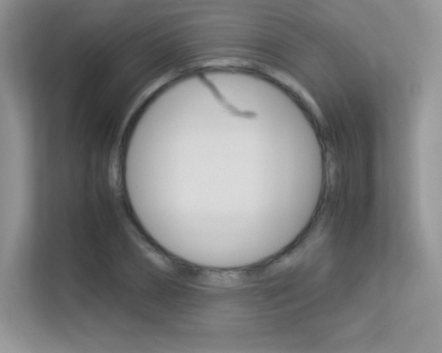 X0000113330882200909141005