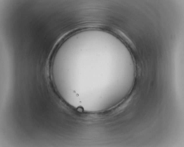 X0000113330883200909141005