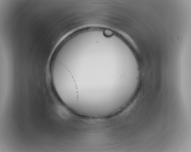 X0000113330887200909141005