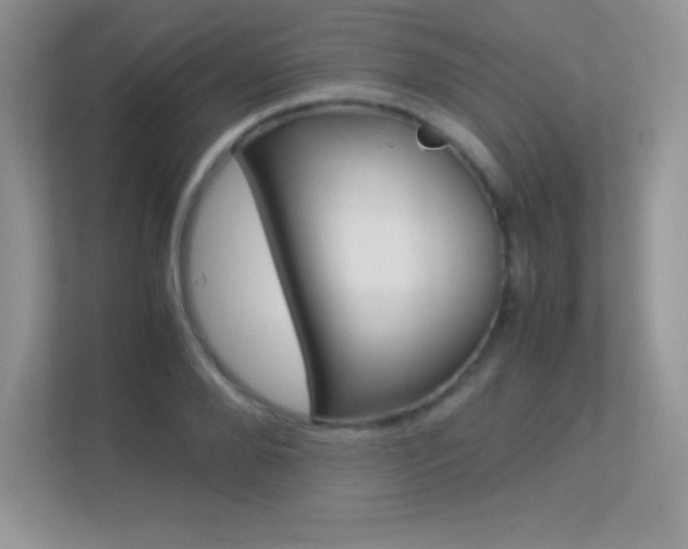 X0000113330888200909141005