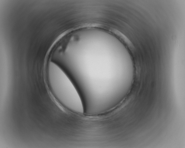 X0000113330894200909141005