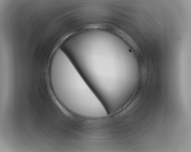 X0000113330898200909141005
