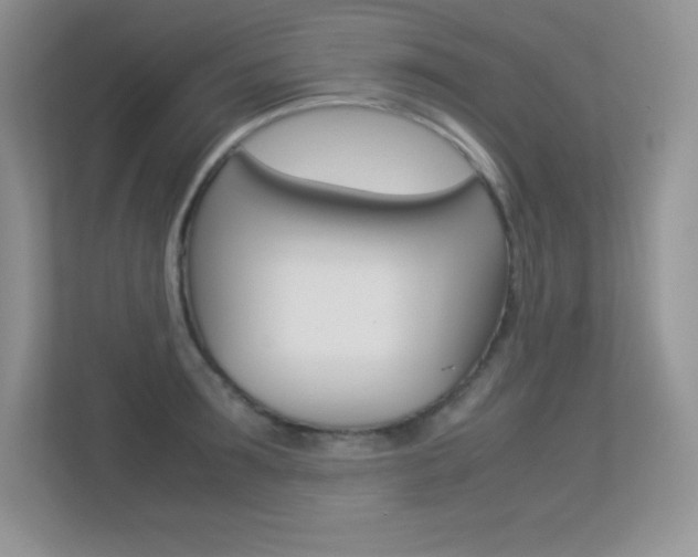 X0000113330899200909141005