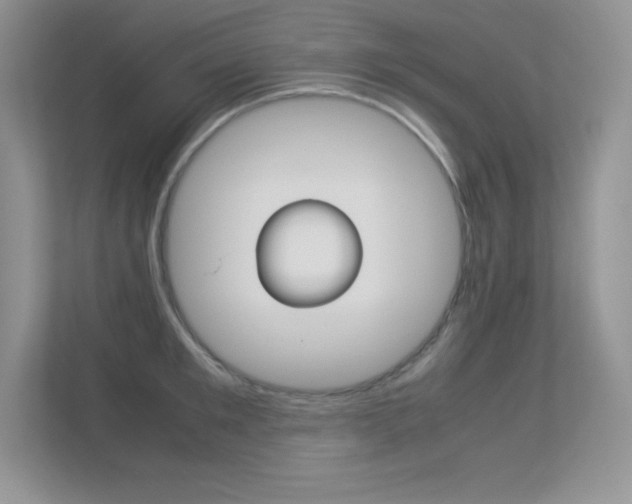 X0000113330901200909141005