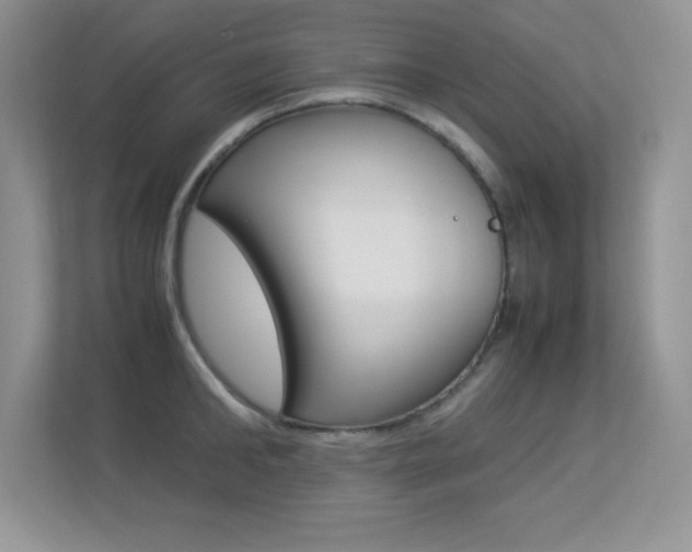 X0000113330902200909141005