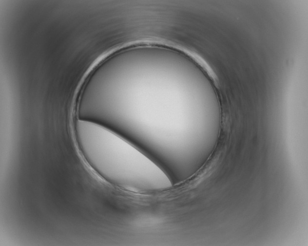X0000113330903200909141005