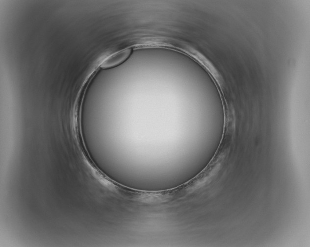 X0000113330909200909141005