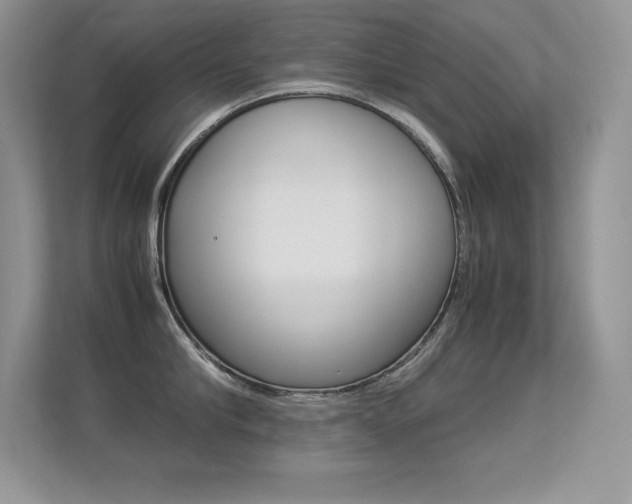 X0000113330910200909141005