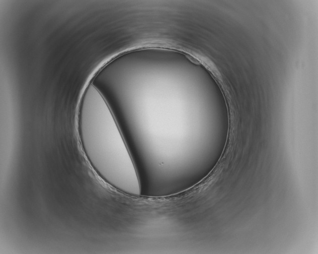 X0000113330912200909141005