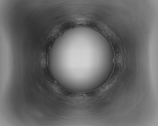 X0000113330916200909141004