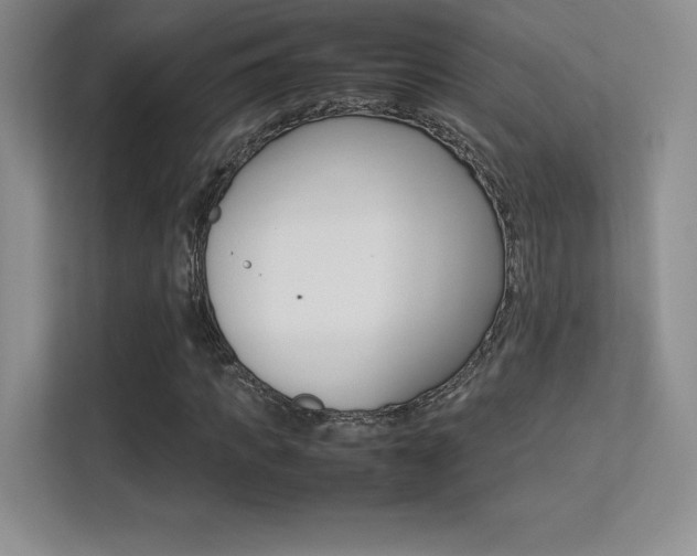 X0000113330917200909141004