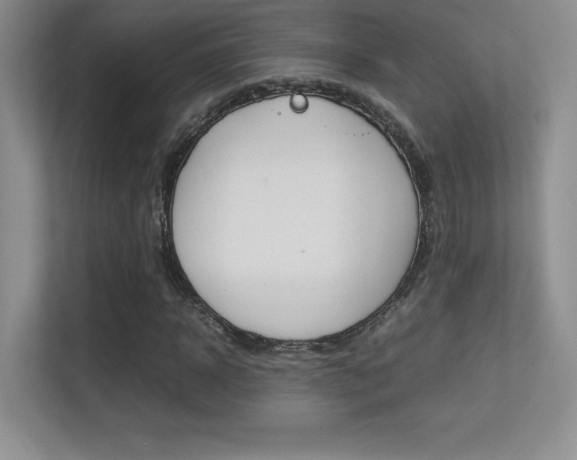 X0000113330918200909141004