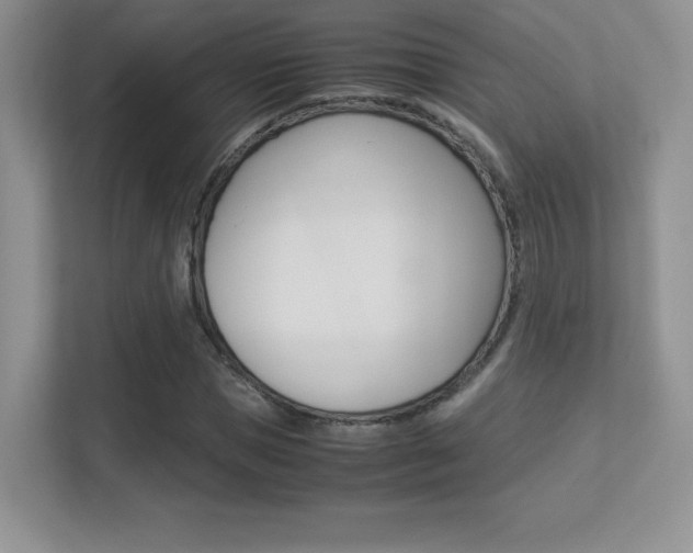 X0000113330921200909141004