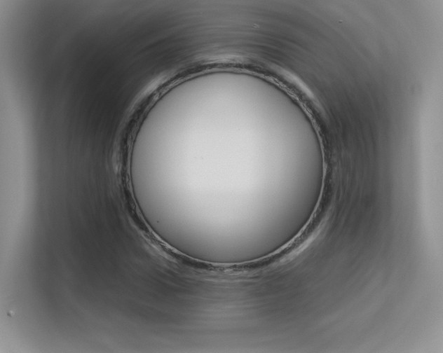 X0000113330922200909141004