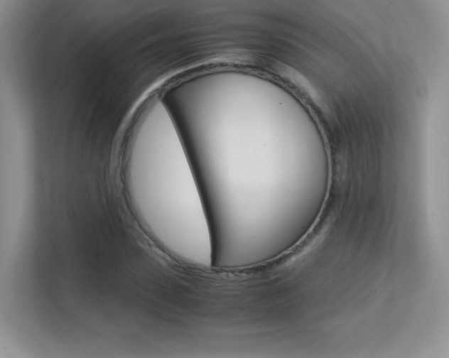 X0000113330923200909141004