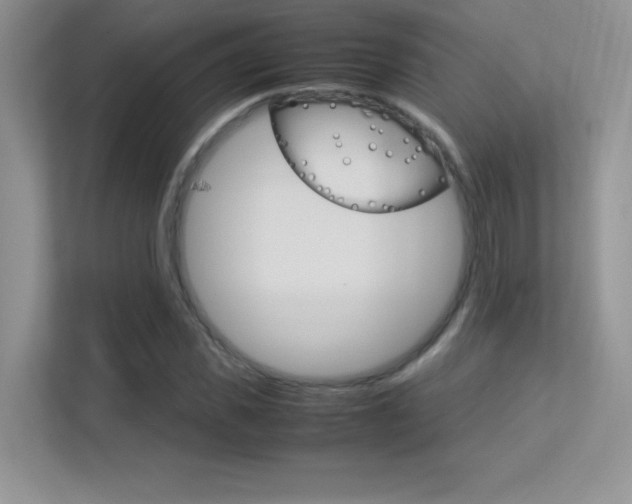 X0000113330925200909141004