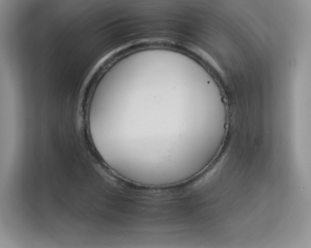 X0000113330927200909141004