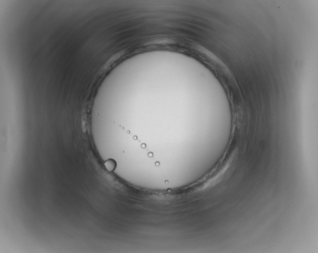 X0000113330929200909141004