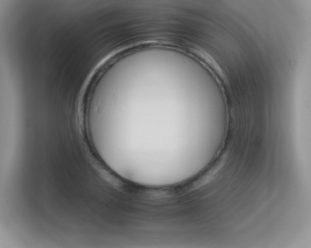 X0000113330931200909141004
