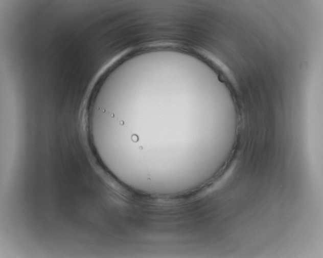 X0000113330933200909141004