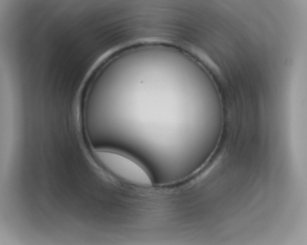 X0000113330934200909141004