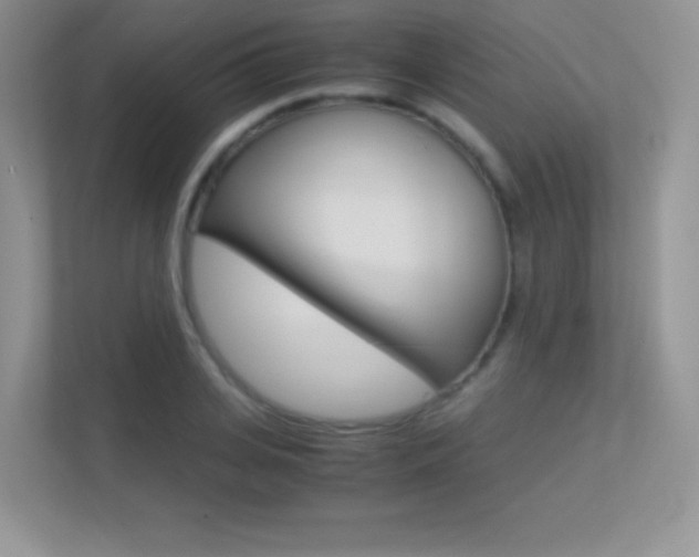 X0000113330935200909141004