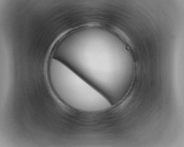 X0000113330939200909141004