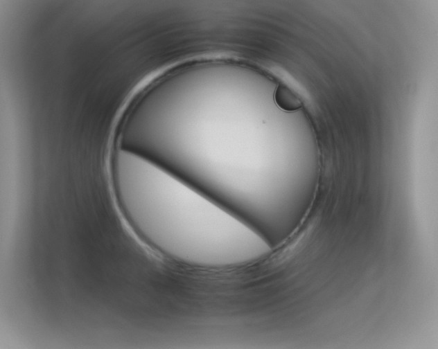 X0000113330943200909141004