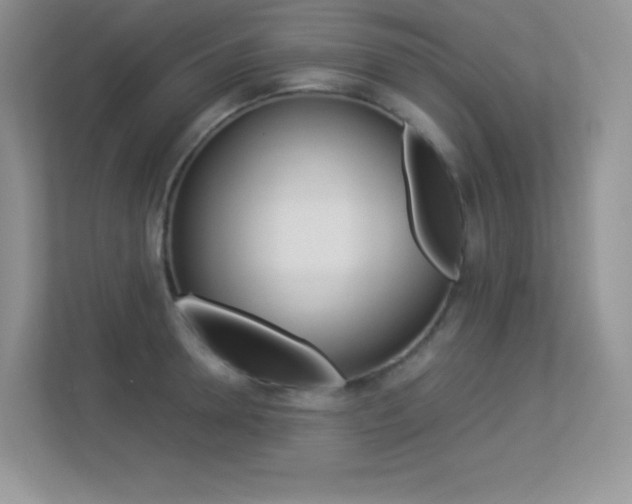X0000113330946200909141004