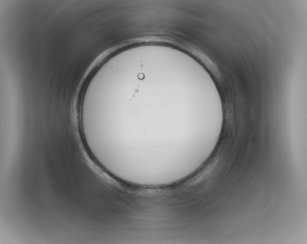 X0000113330950200909141004