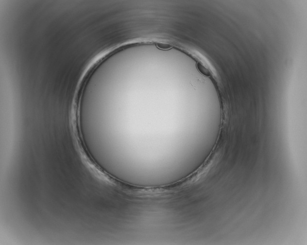 X0000113330952200909141004
