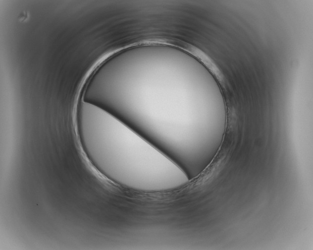 X0000113330955200909141004