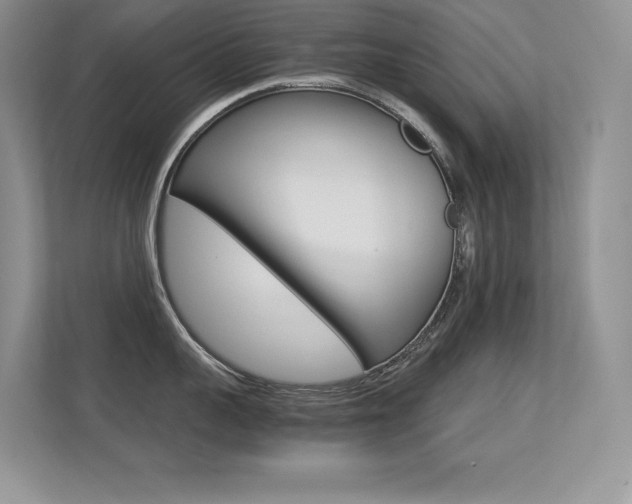 X0000113330959200909141005