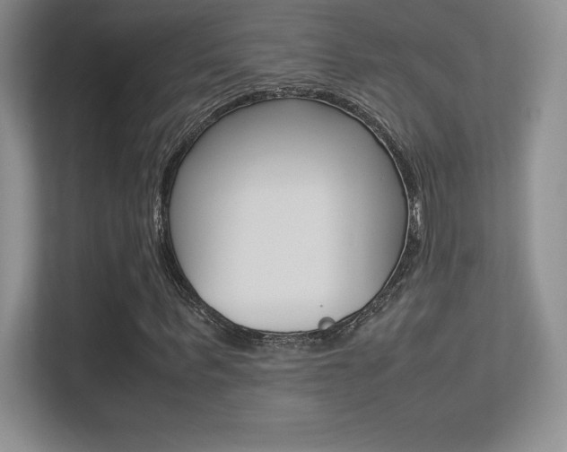 X0000113330963200909141004