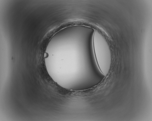 X0000113330967200909141004
